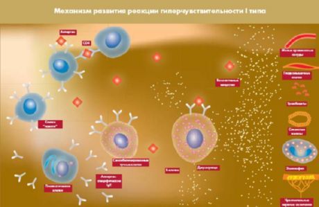 Proteína aberta, que será um novo alvo para a diabetes