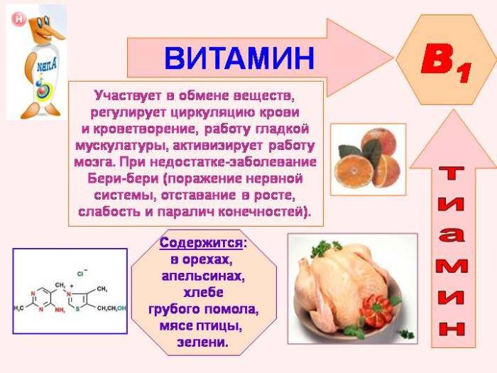 As propriedades da vitamina B1